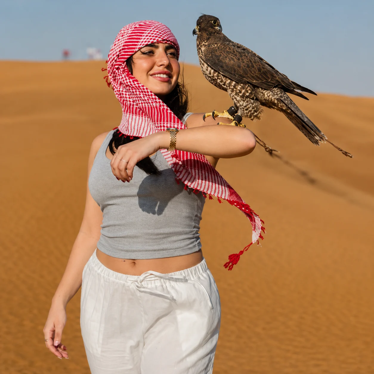 Falcon Experience Dubai Desert Safari 1